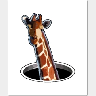 Giraffe hole Posters and Art